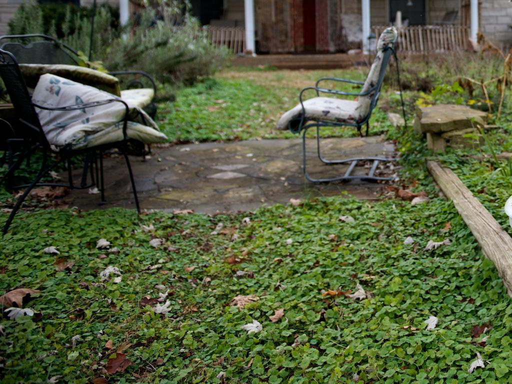 GreenTurf 860 390 5262 276 Butlertown Rd, Oakdale, CT 06370 Connecticut landscaping